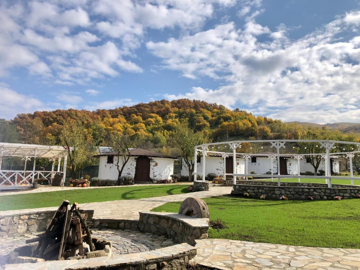 Satul Cu Flori Otel Buzău Dış mekan fotoğraf