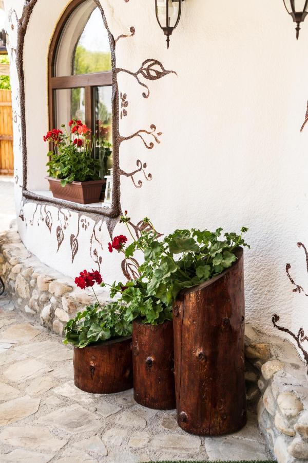 Satul Cu Flori Otel Buzău Dış mekan fotoğraf